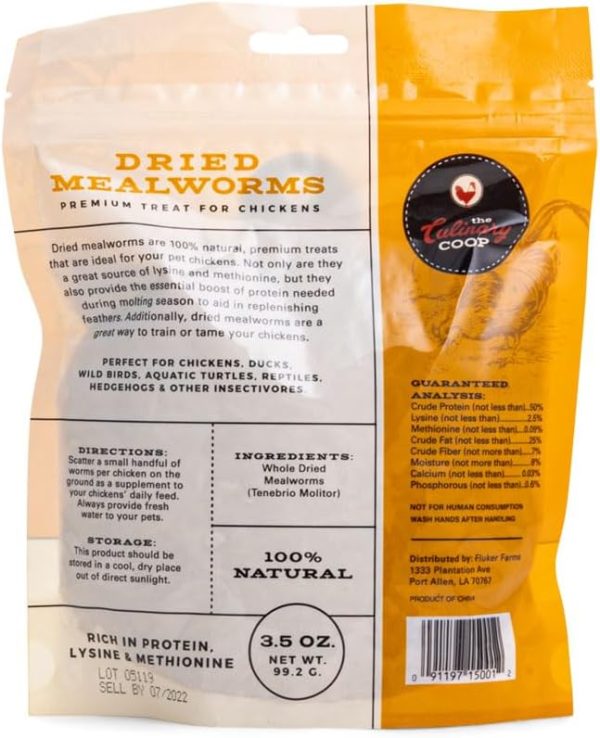Flukers Mealworms Chicken Treats Protein Rich Pet Food-1
