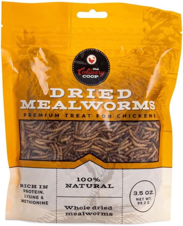 Flukers Mealworms Chicken Treats Protein Rich Pet Food-0
