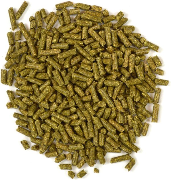 Oxbow Garden Select Adult Guinea Pig Food Non-GMO Pellets-5